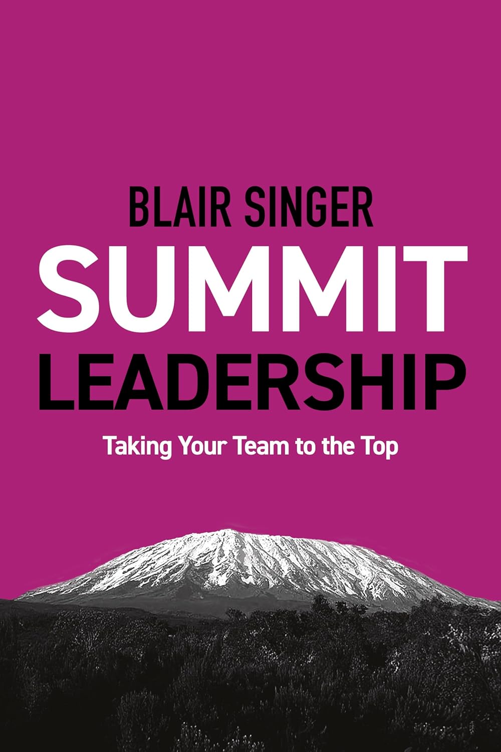 https://kenmcelroy.com/wp-content/uploads/2024/01/summit-leadership-blair-singer.jpg
