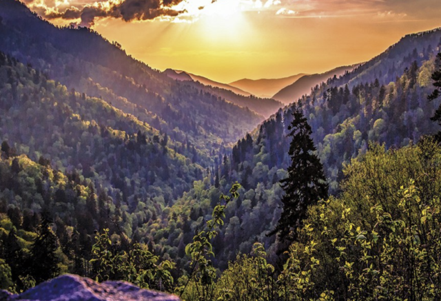 Great Smoky Mountains National Park